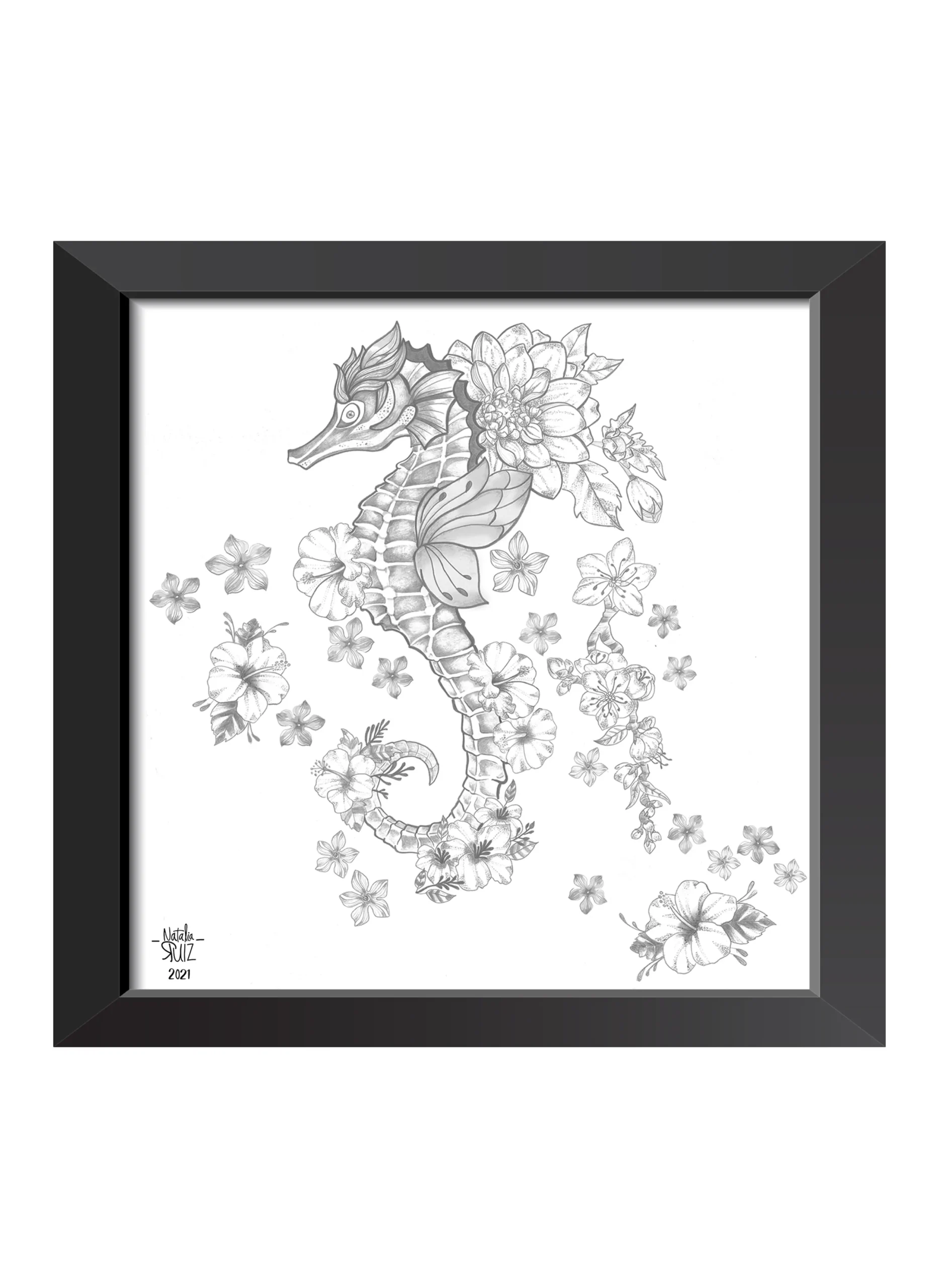 Caballito de Pacífico